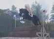 [Roblox] Thunder Rose Stables - V2 game