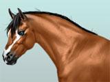 Movement Sim magnificent horse