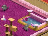 Kitty heaven in Wauies Kitty heaven in Wauies