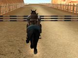 Texas Wild Horse Race 3D Hurdle