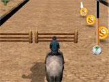 Horse Racing Champion