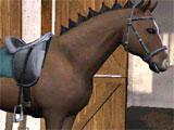 Let's Ride: Riding Star: At the stables Let's Ride: Riding Star: At the stables