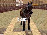 Western Cowboy Horse Rider 3D Stable