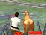 Life of Horse - Wild Simulator