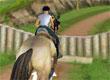 Which Equestrian Sports Do You Like the Most? - Survey Option 4