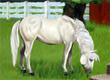 Jeu de Cheval préféré? - Survey Option 2