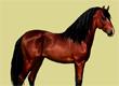 Jeu de Cheval préféré? - Survey Option 5