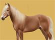 Jeu de Cheval préféré? - Survey Option 6