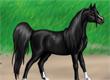 Jeu de Cheval préféré? - Survey Option 7
