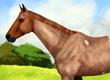 Favorite Horse Breeding Game - Survey Option 4