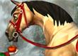 Which is the Prettiest Star Stable Horse? - Survey Option 3