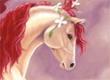 Which Bella Sara Horse is the Prettiest? - Survey Option 2