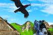 Chicken and Crow Shoot thumb