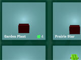Purchasing plants from the shop