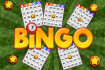 Bingo Revealer thumb