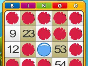 Gameplay in Gamepoint bingo