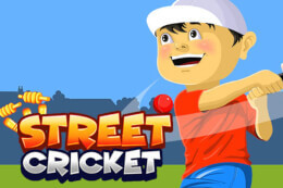 Street Cricket thumb