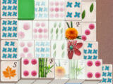 Flowers Mahjong Look for Rainbow Tiles