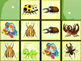 Connect the Insects Connect the Insects