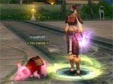 Adorable pig pet in Silkroad-R Adorable pig pet in Silkroad-R