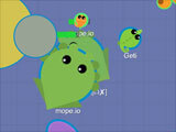 Animals Games Animals Games