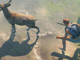 Hunting in Wasteland Survival Hunting in Wasteland Survival