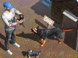Wasteland Survival: Home base Wasteland Survival: Home base