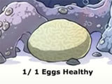 Looking if the egg is healthy