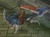 Souls Guardian