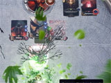Destiny's Divide