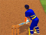 Cricket Batter gameplay