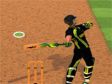 Cricket Batter taking a shot