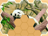 Jigsaw Puzzles Hexa panda puzzle