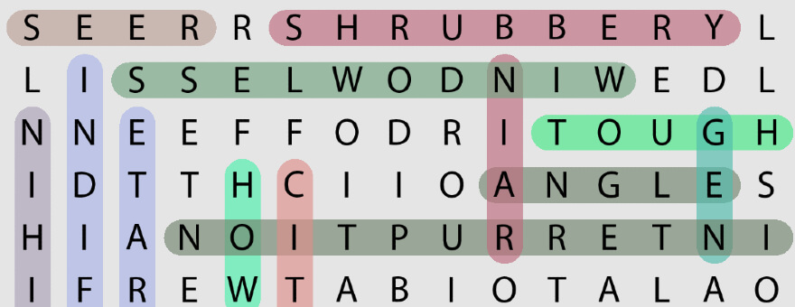 Simple Word Search large