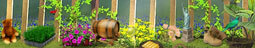 Garden Secrets Hidden Objects game