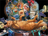 Dark City: Munich Collector's Edition Cat