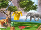Criminal Case – The Conspiracy: Scouring the zoo for evidence
