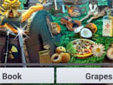 Hidden Objects: Enchanted Castle