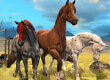 Horse Multiplayer: Arabian game