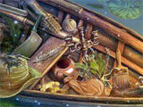 Trying to find hidden objects in the game