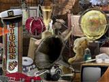 Hidden Relics: Hidden Object Adventure