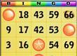Bingo Plage game