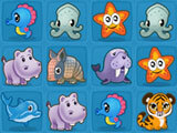 Pet Connect Pet Connect