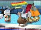 Summer Supersports Swimming Pool Swimming Pool in Summer Supersports