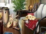 Mystery Detective Apartment Apartment in Mystery Detective