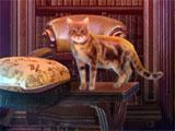 Cabin in Fierce Tales: Feline Sight Fierce Tales: Feline Sight Cabin