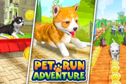 Pet Run Adventure: Puppy Run thumb