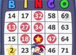Bingo Lane game
