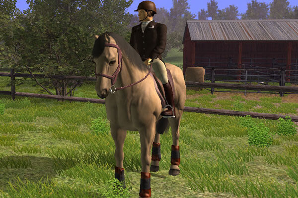 King Riding Game Riding Club Championships - PC Games