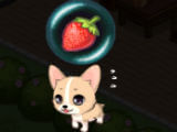 Corgi Bringing Strawberry in My Pet Village Corgi Bringing Strawberry in My Pet Village